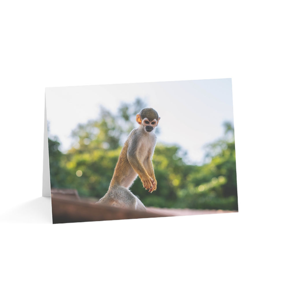 Thumbnail: Cute squirrel monkey standing on a greeting card with blurred background.