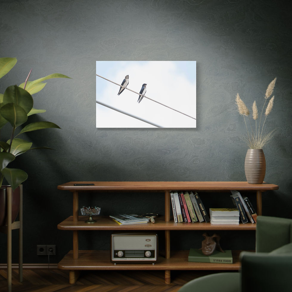 Thumbnail: Framed picture of two small birds perched on power lines in a room.