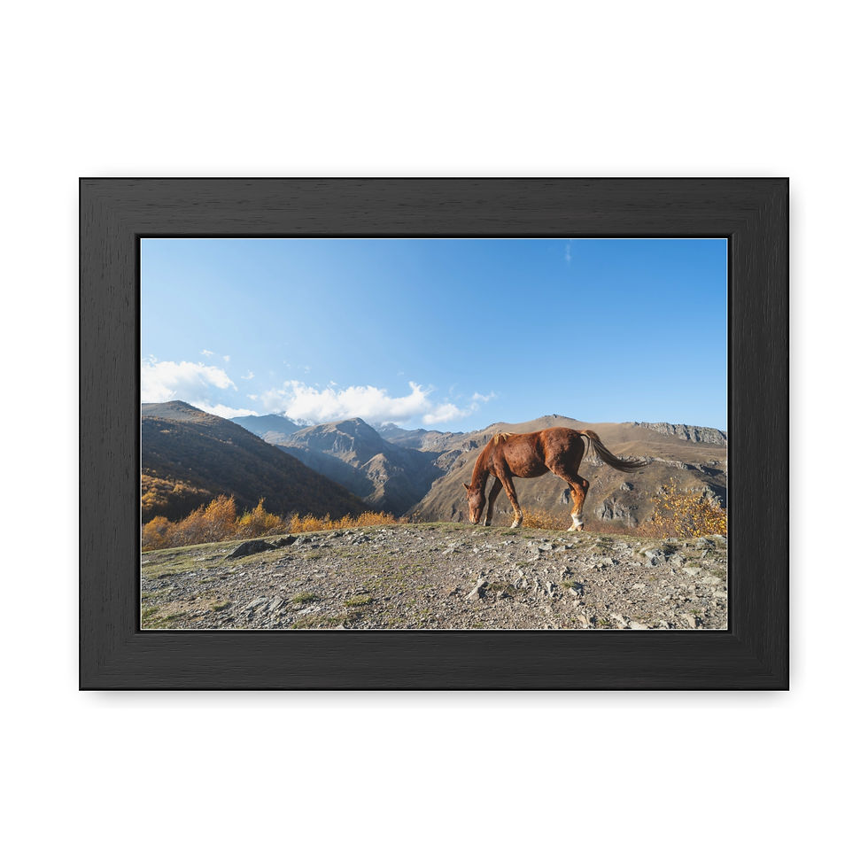 Thumbnail: Brown horse grazing on mountain top, vibrant blue sky, autumn trees.