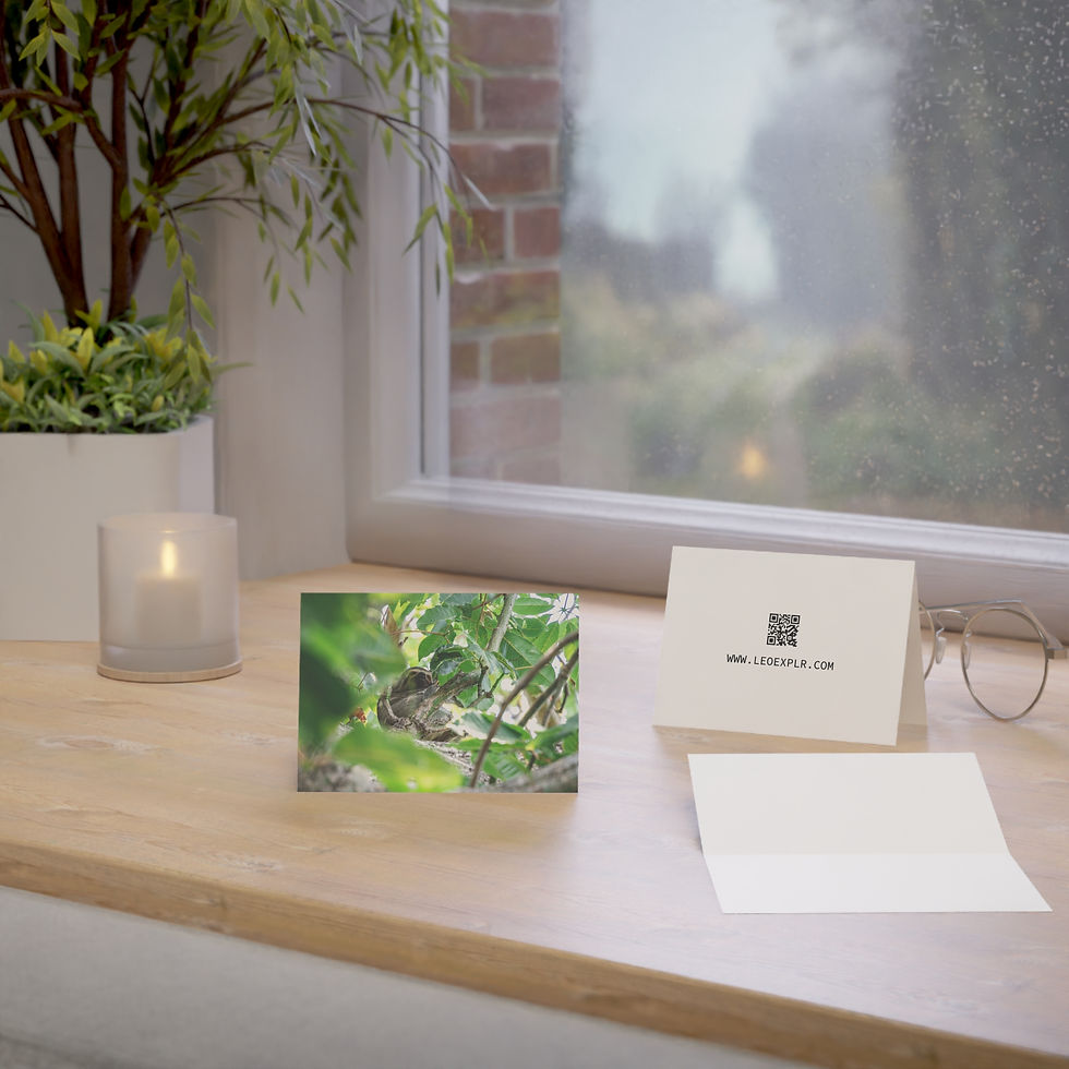 Thumbnail: Greeting card with bee design on wooden windowsill by rainy window.