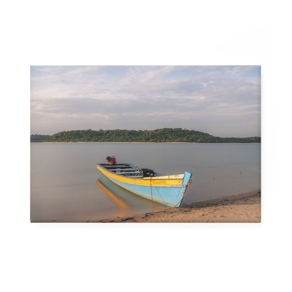 Thumbnail: Blue and yellow fishing boat resting on sandy shore by calm water.