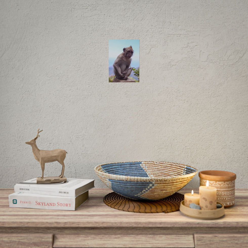 Thumbnail: Room decor with monkey poster, deer figurine, books, and woven bowl.
