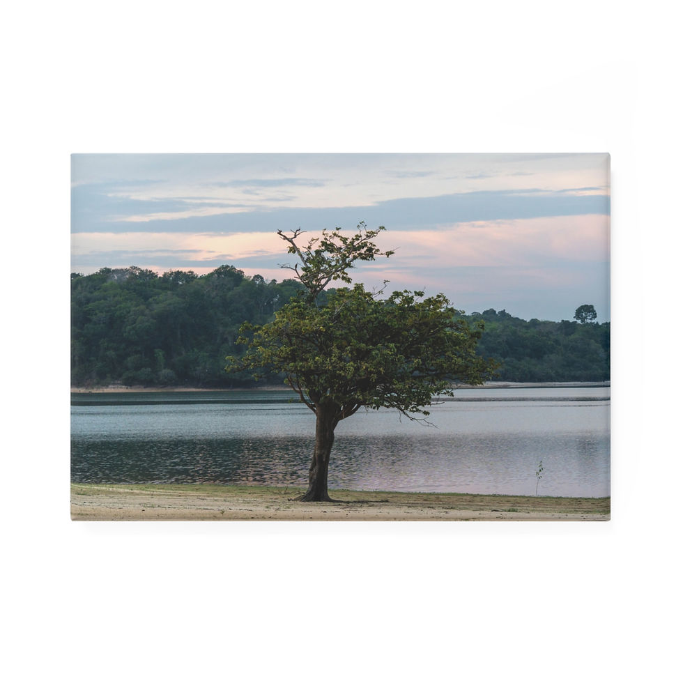 Thumbnail: Lone tree by calm river under cloudy sunrise sky.