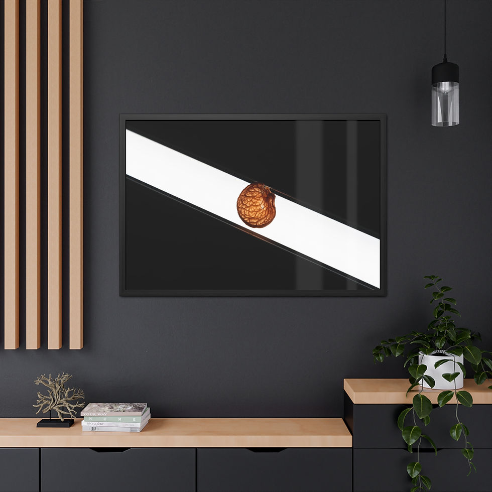 Thumbnail: Modern art print on dark wall featuring diagonal white stripe, brown truffle.