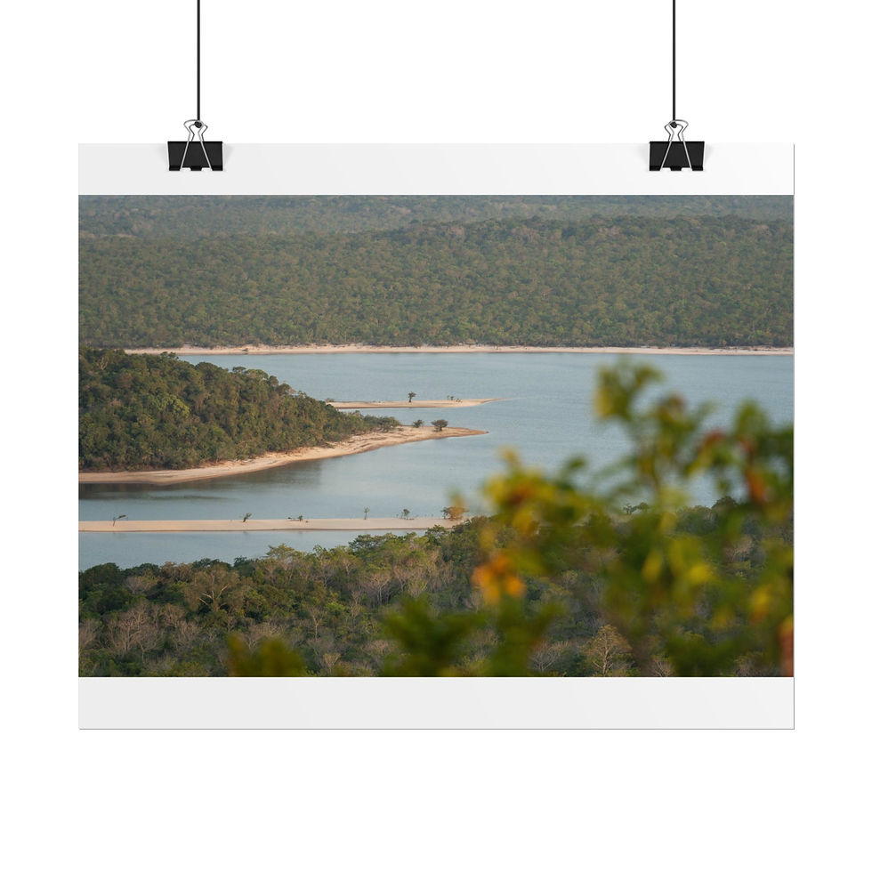 Thumbnail: Winding lake surrounded by dense green tropical forests from above.