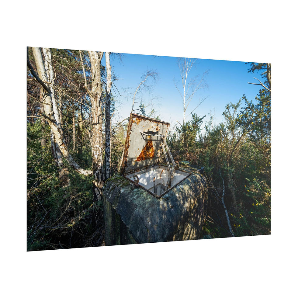 Thumbnail: Rusty basketball hoop abandoned in an overgrown forest with blue sky.