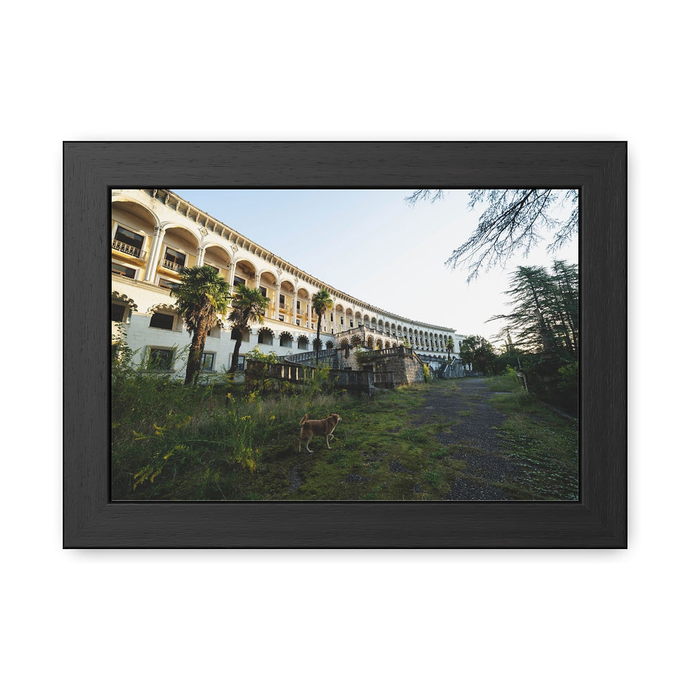 Thumbnail: Grand abandoned curved building, overgrown with green plants and palm trees.