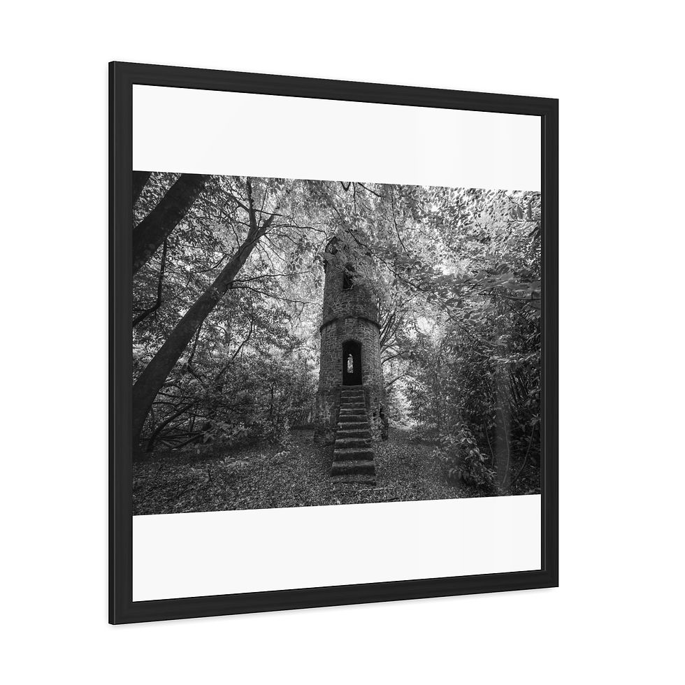 Thumbnail: Black and white framed photo of an enchanting ruined tower in a forest.