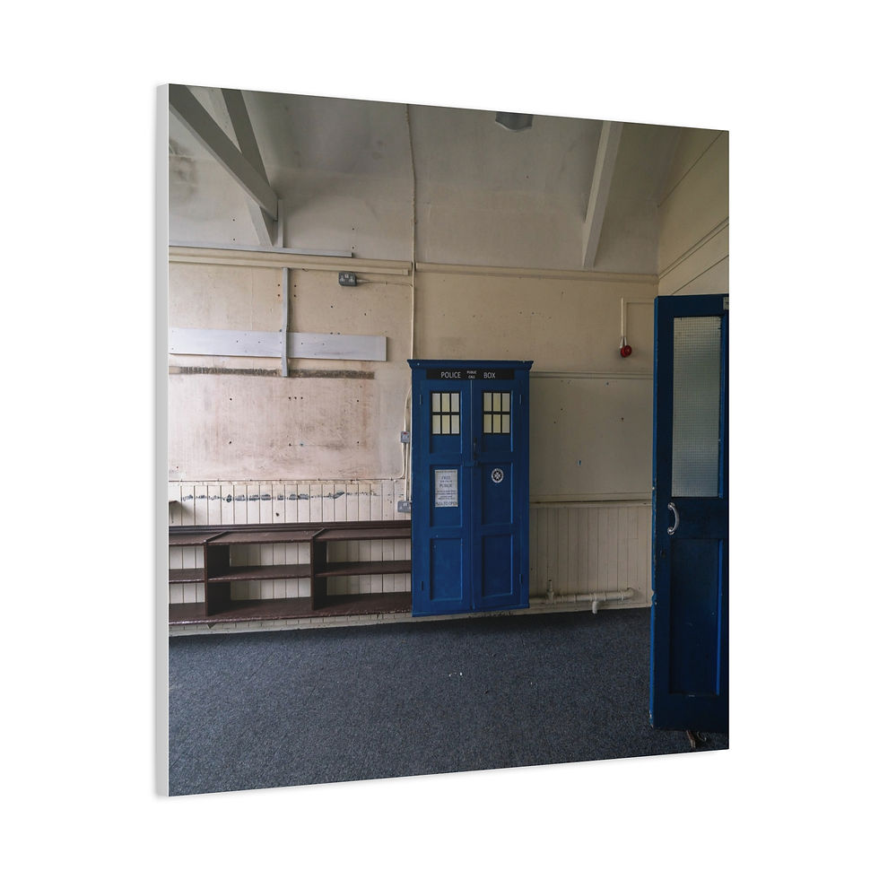 Thumbnail: Canvas Print | TARDIS Style Cupboard | Abandoned Classroom | Unique Wall Art