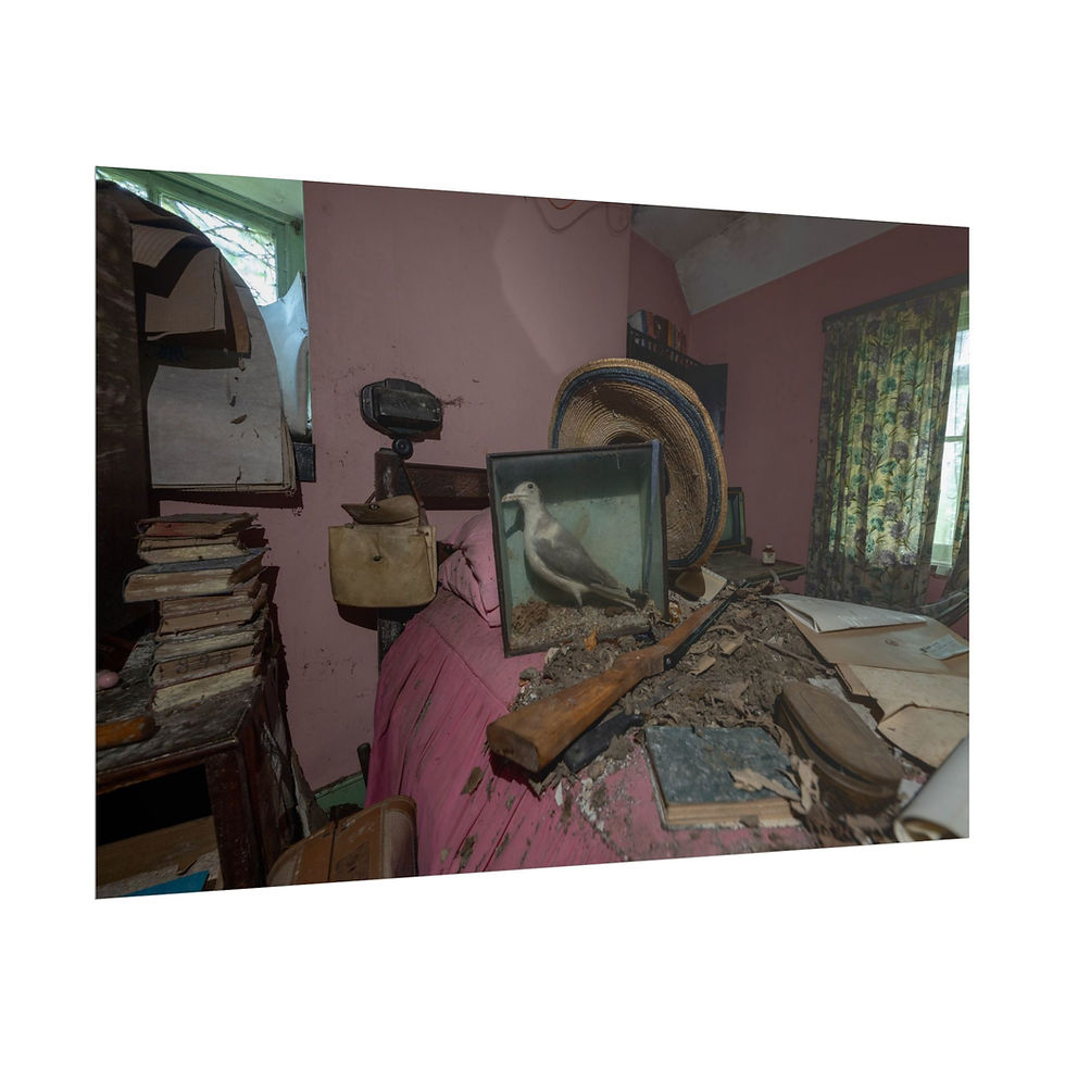 Thumbnail: Abandoned bedroom, taxidermied bird in glass case, dusty and dilapidated.