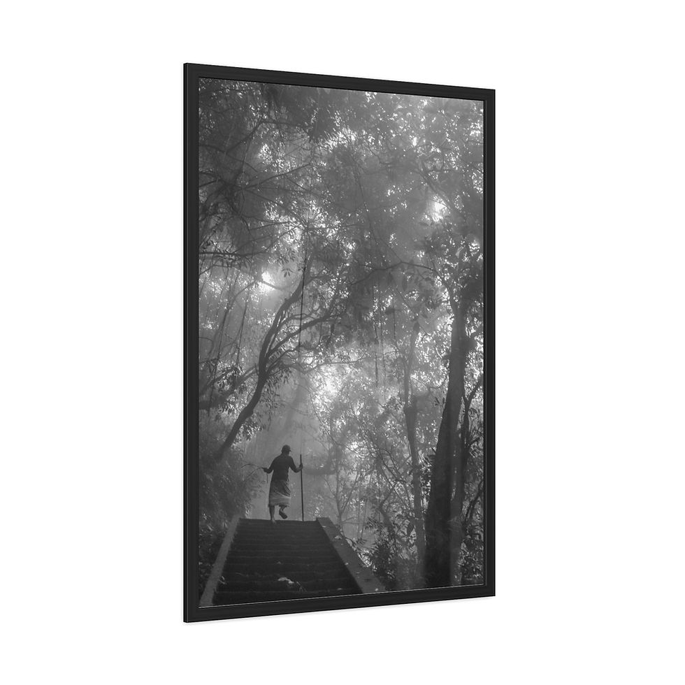 Thumbnail: Person on stairs in foggy forest with light rays, framed print.