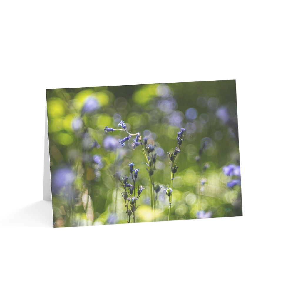 Thumbnail: Bluebells in Sussex | Spring Nature Design | Greeting Card Pack of 1, 10, 30, 50