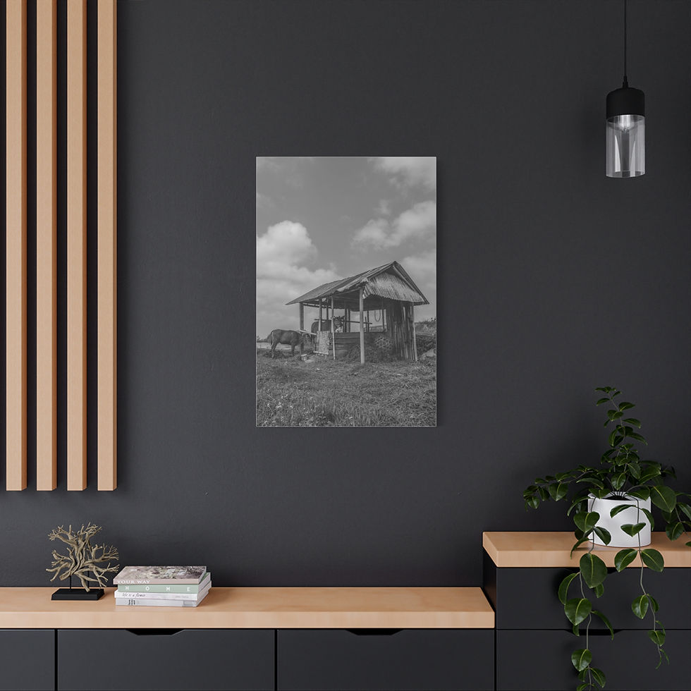 Thumbnail: Black and white photo of rustic shack under cloudy sky.