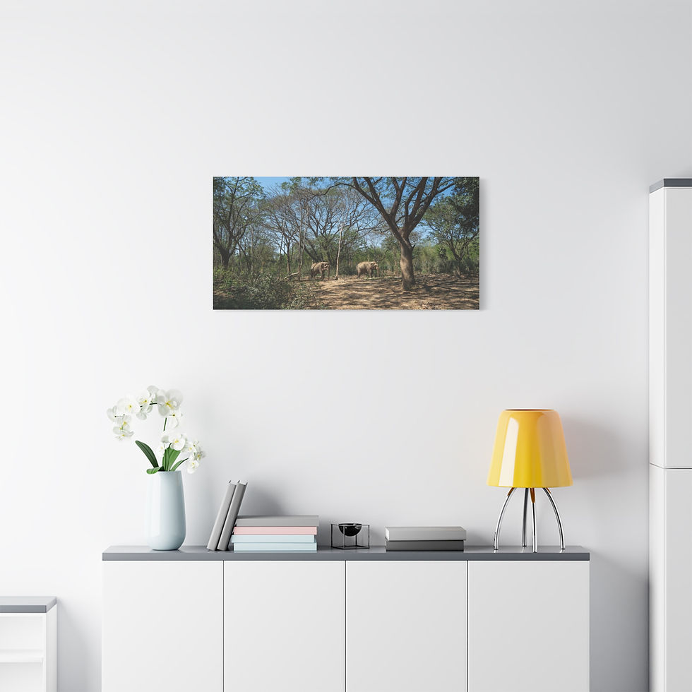 Thumbnail: African savannah landscape wall art with trees and distant animals.