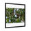 Thumbnail: Framed Poster - Cheeky Squirrel Monkey | Amazon Jungle Wall Art