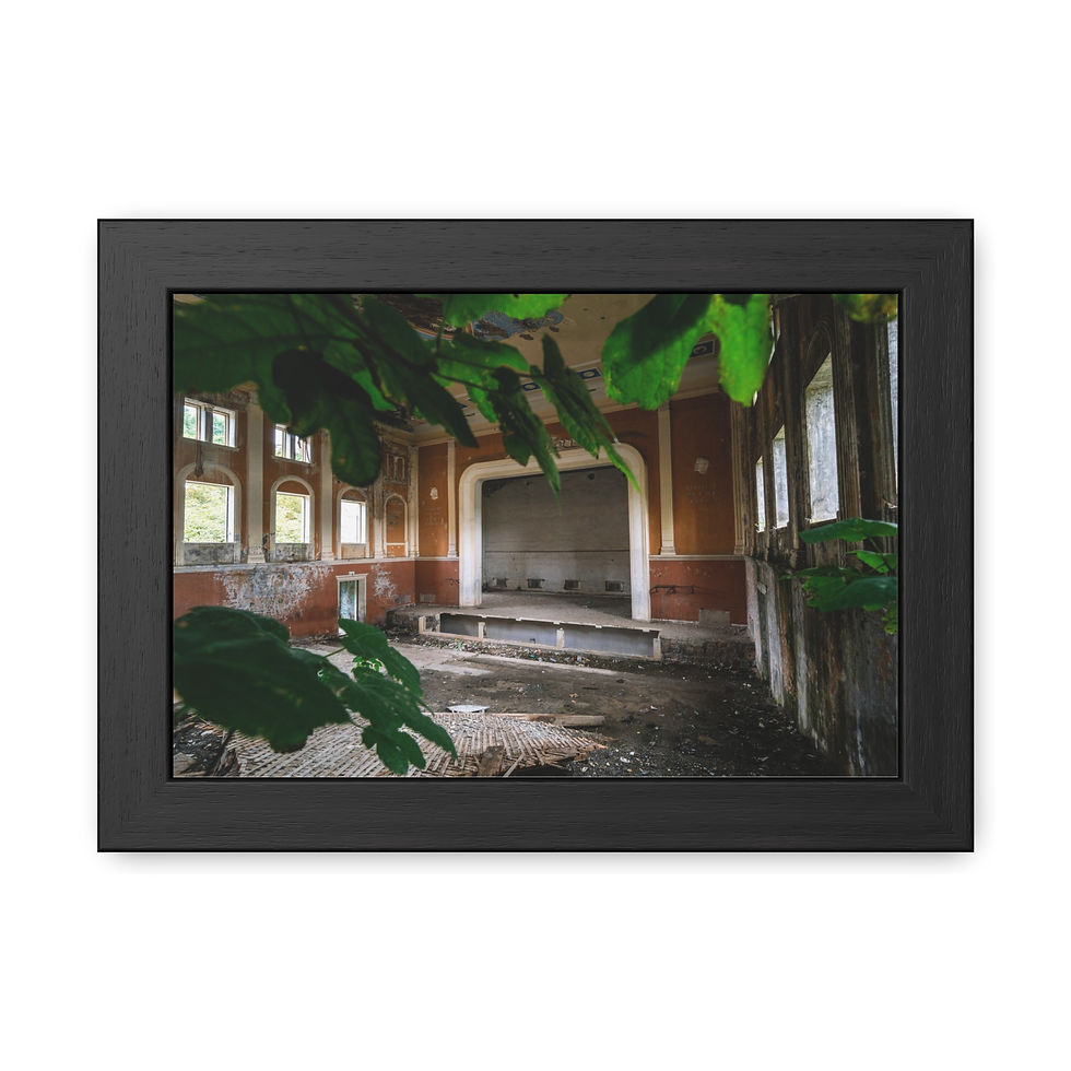 Thumbnail: Abandoned theatre stage in a dilapidated room with green leaves.