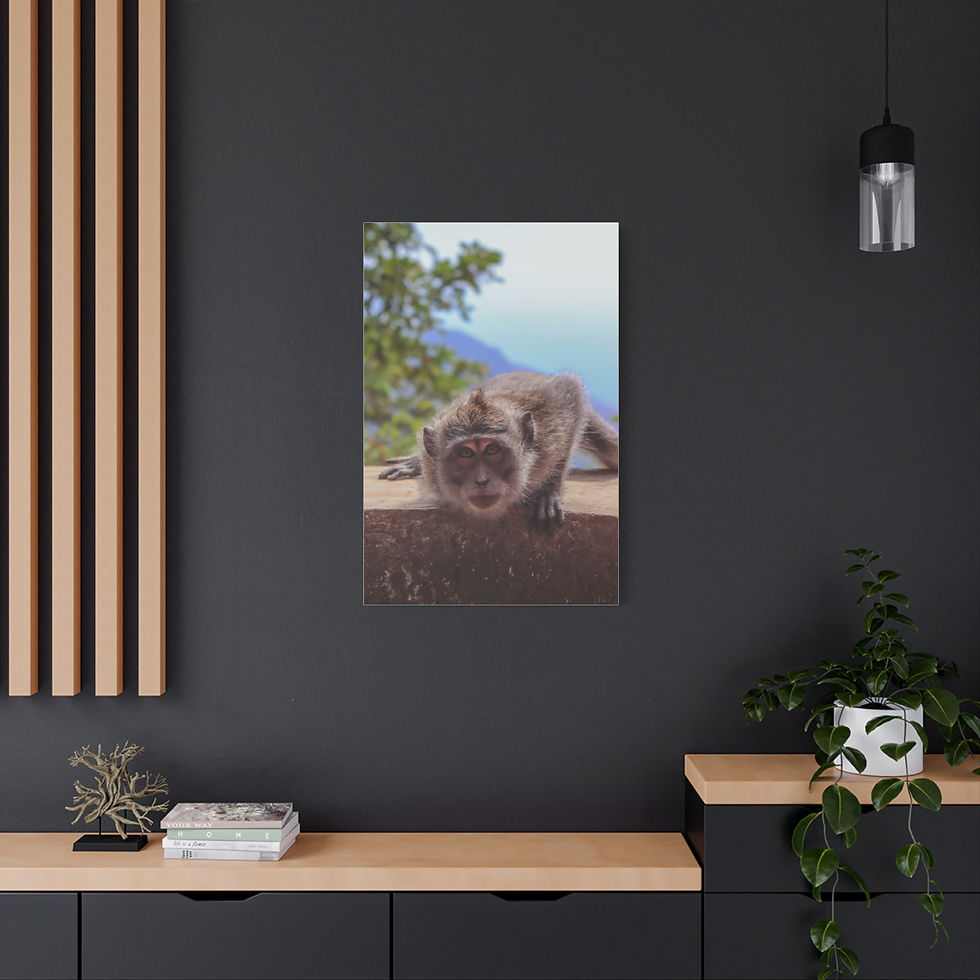 Thumbnail: Curious monkey's face looks directly from canvas art on a dark wall.