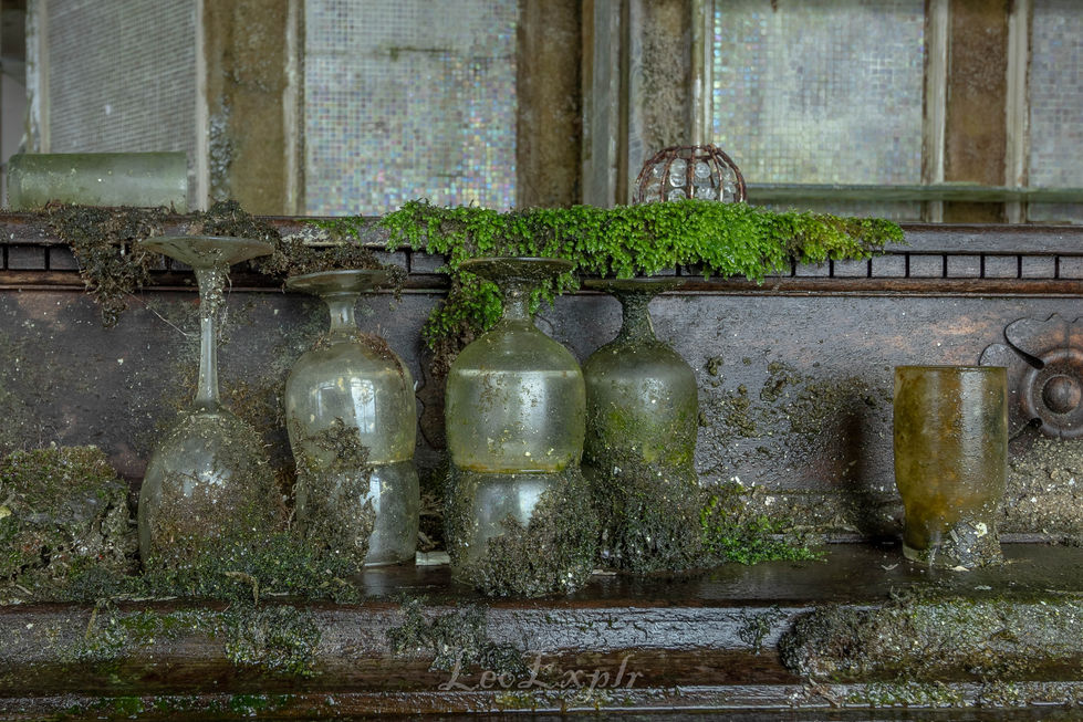 Wine glasses on a bar covered in green moss