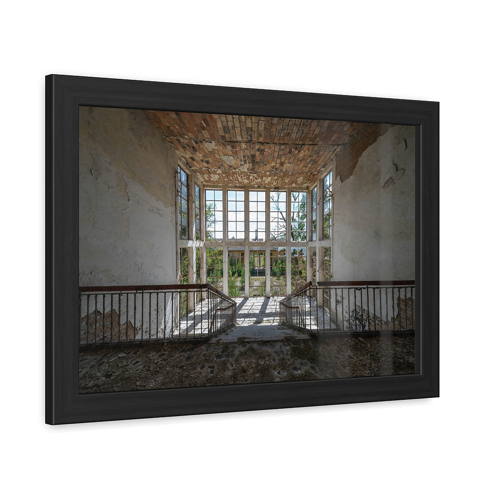 Thumbnail: Framed print shows decaying interior, grand staircase leading to bright sunny windows.