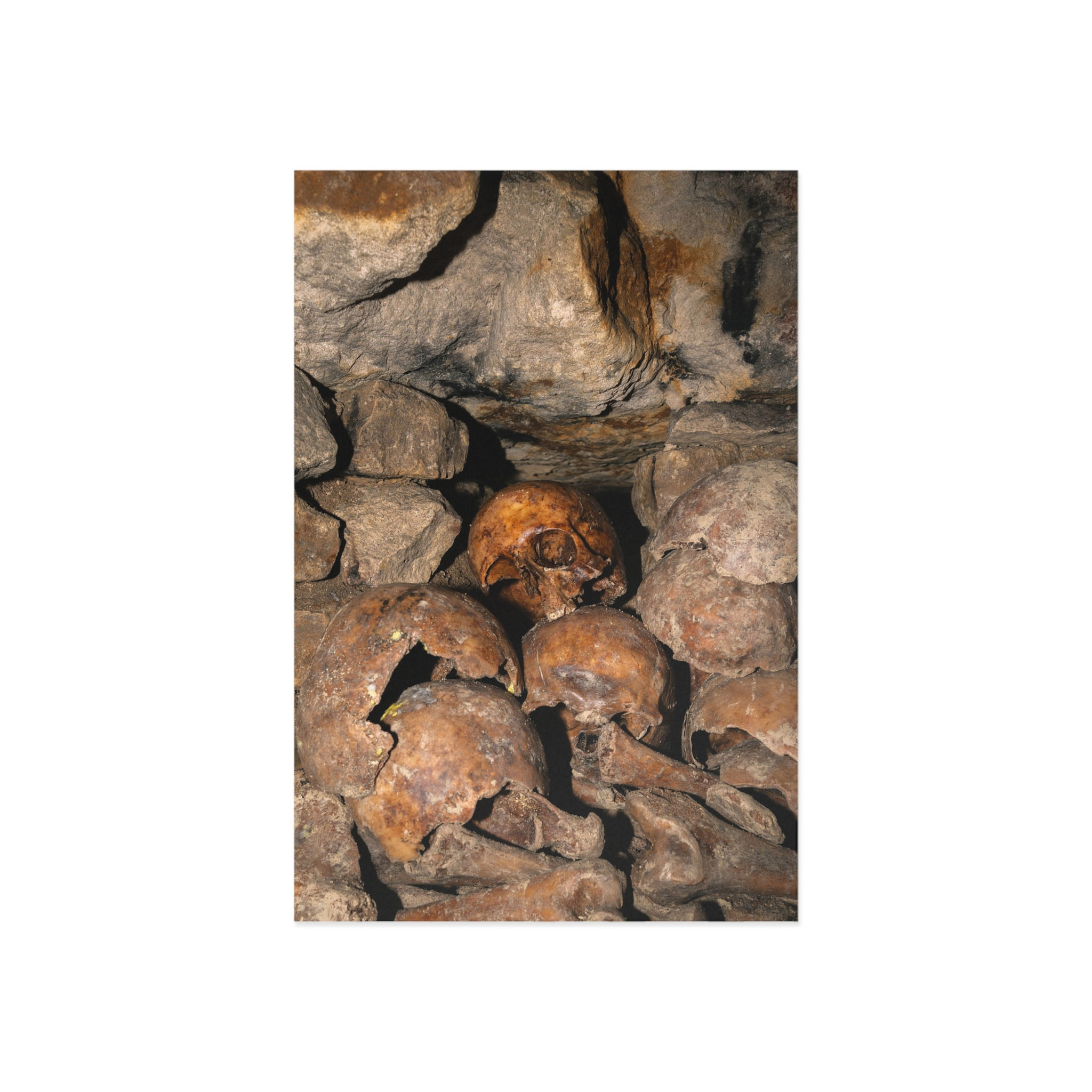 Unique Collection of Fine Art Postcards: Paris Catacombs Skulls & Skeletons
