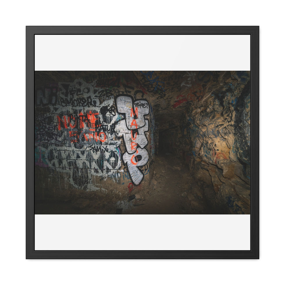 Thumbnail: Dark tunnel with graffiti including the word "TRIP", framed art print.