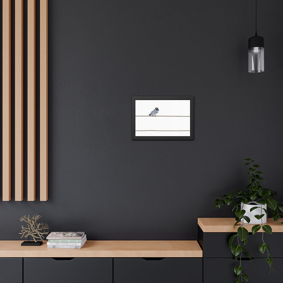 Thumbnail: Minimalist bird art print framed on dark wall with modern decor.