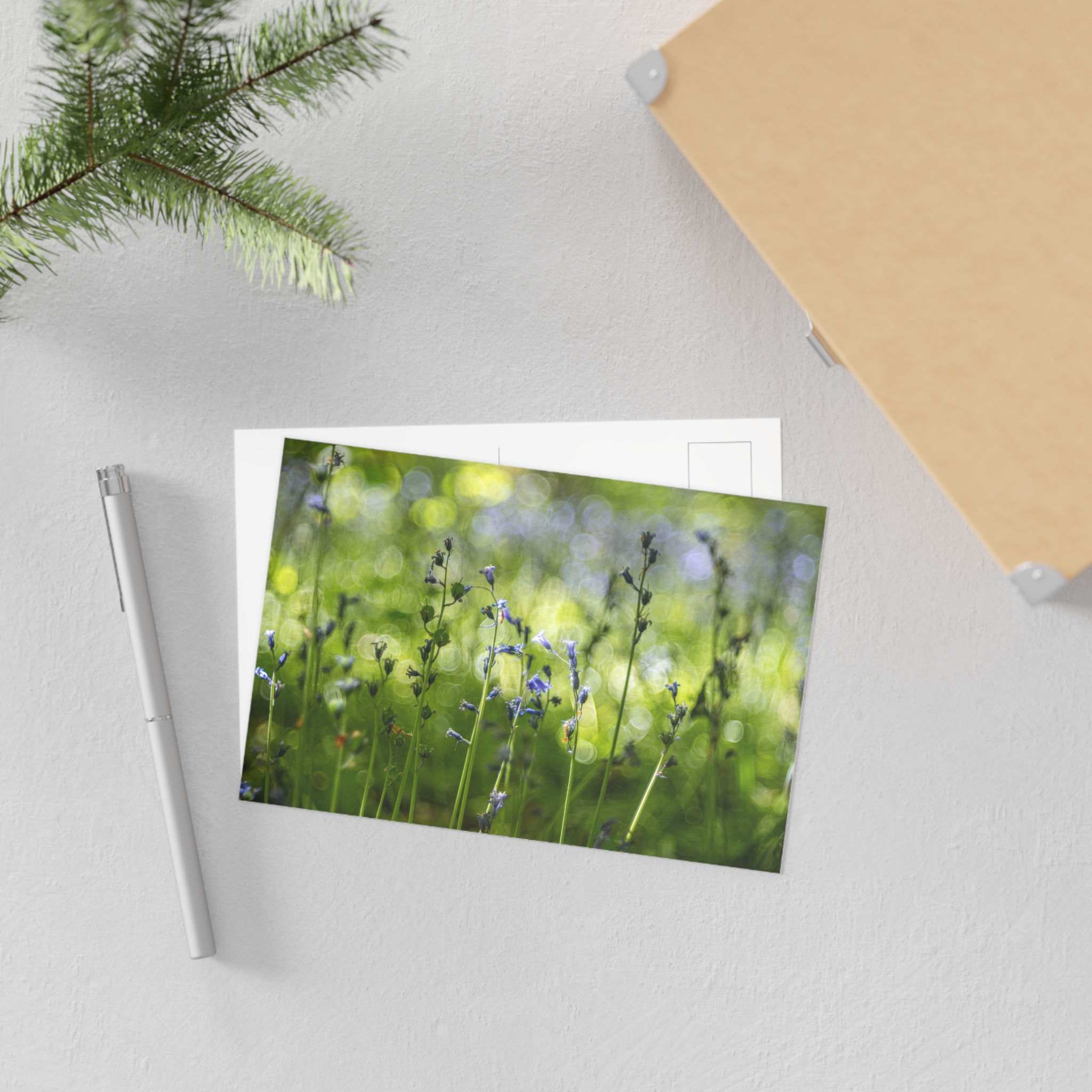 Bluebells Fine Art Postcard | Laughton Woodland Scene | East Sussex Nature Photo