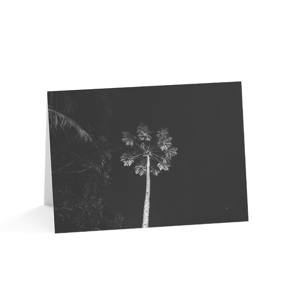 Thumbnail: Amazon - Night-Time Palm Tree in Brazil | Greeting Cards - Pack of 1, 10, 30, 50