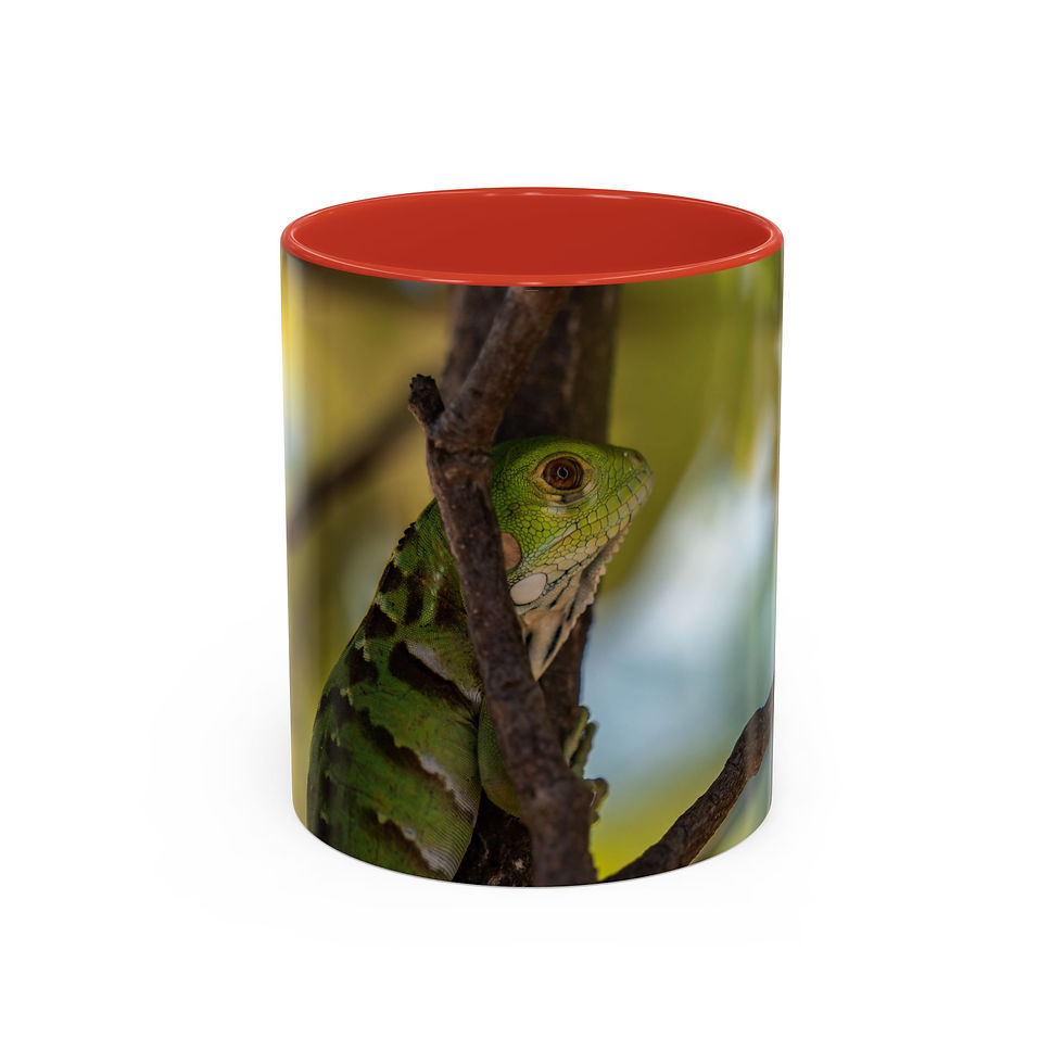 Thumbnail: Vibrant green iguana resting on a branch, featured on a red-rimmed mug.