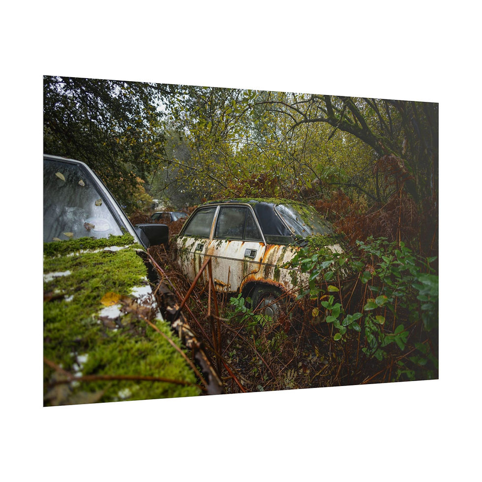Thumbnail: Abandoned, rusty car overgrown by lush green nature in a forest.