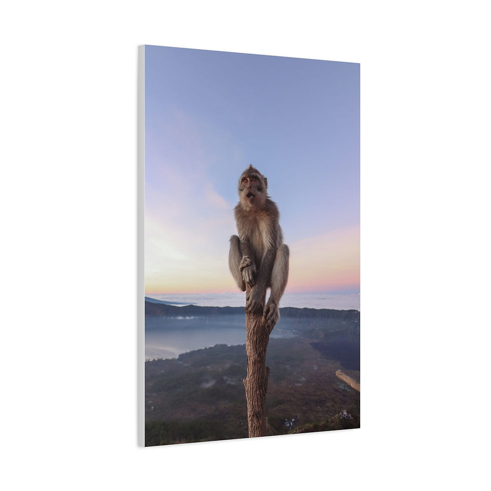 Thumbnail: Alert monkey on tree branch at dawn overlooking misty mountain landscape.