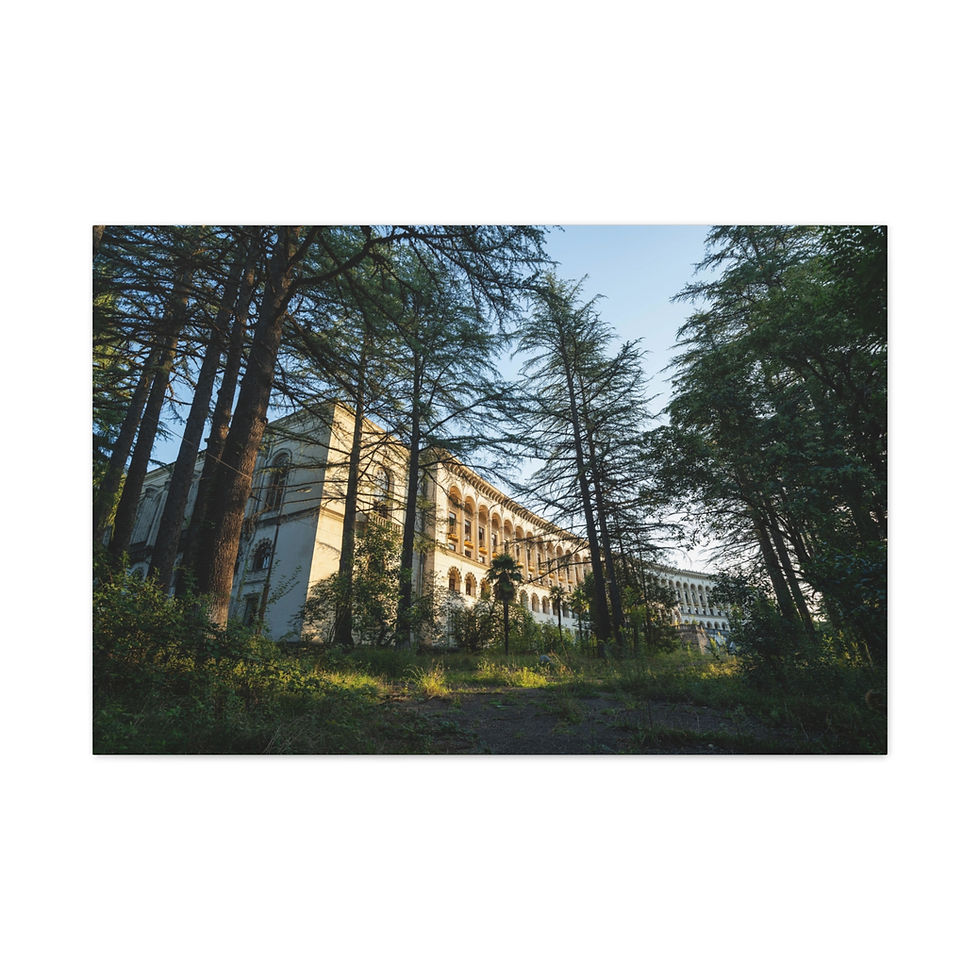 Thumbnail: Abandoned grand building viewed through tall trees under a clear sky.