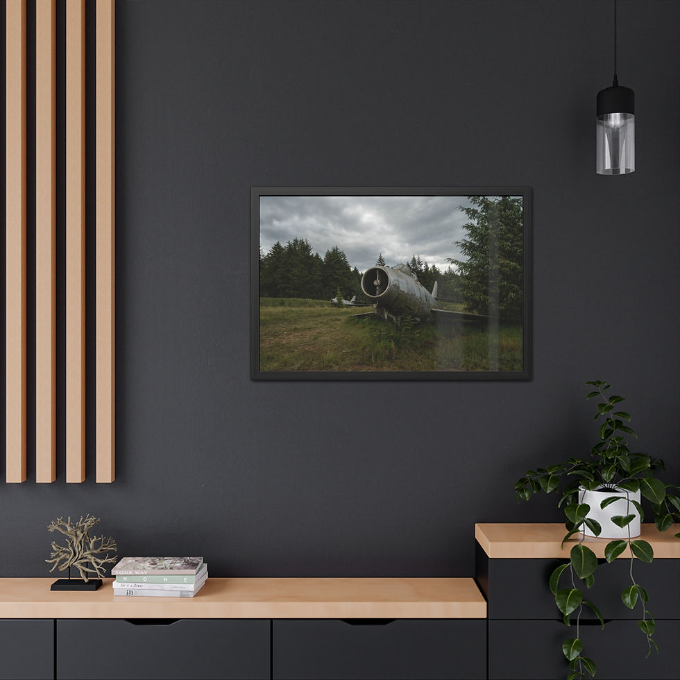 Thumbnail: Framed picture of abandoned jet airplane in field with trees, cloudy sky.