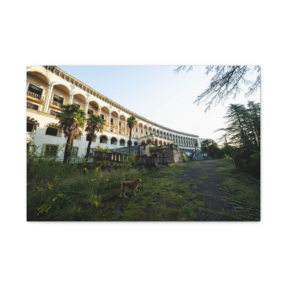 Thumbnail: Curved, arched old building with columns, overgrown grass, trees, and small cat.