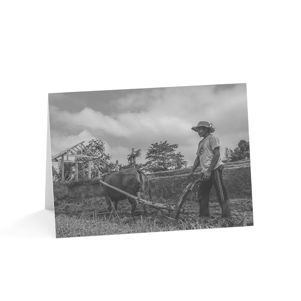 Thumbnail: Balinese Man & Cow in Rice Field | Greeting Cards - Pack of 1, 10, 30 or 50