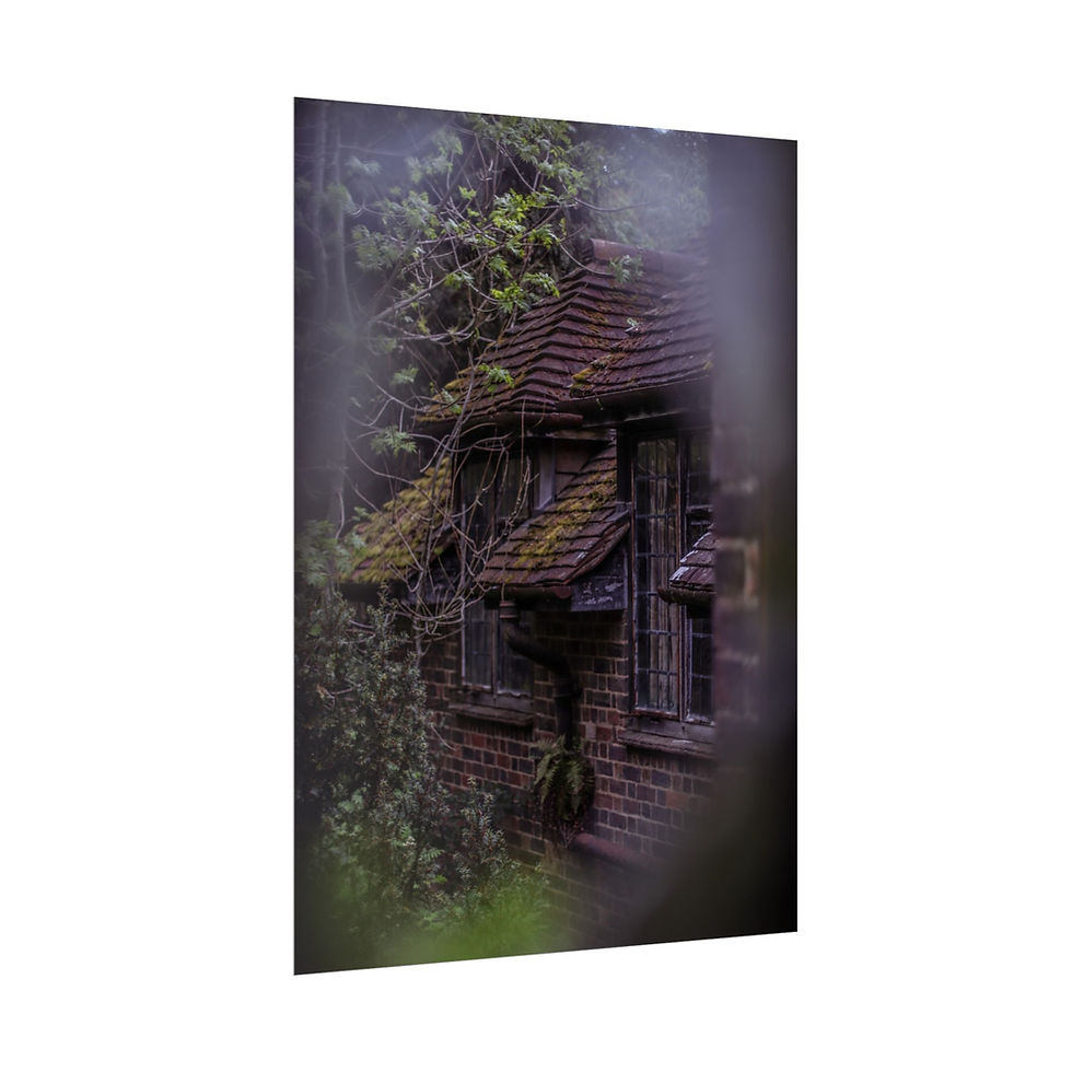 Thumbnail: Overgrown, abandoned brick house with mossy roof and dark, boarded windows.