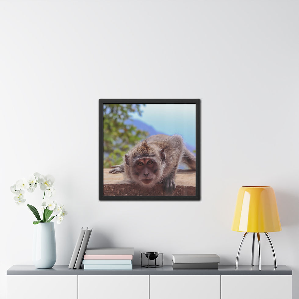 Thumbnail: Framed poster featuring a curious monkey peering directly forward.