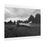 Thumbnail: Black & White Aviation Rolled Poster Print - Derelict Aeroplane