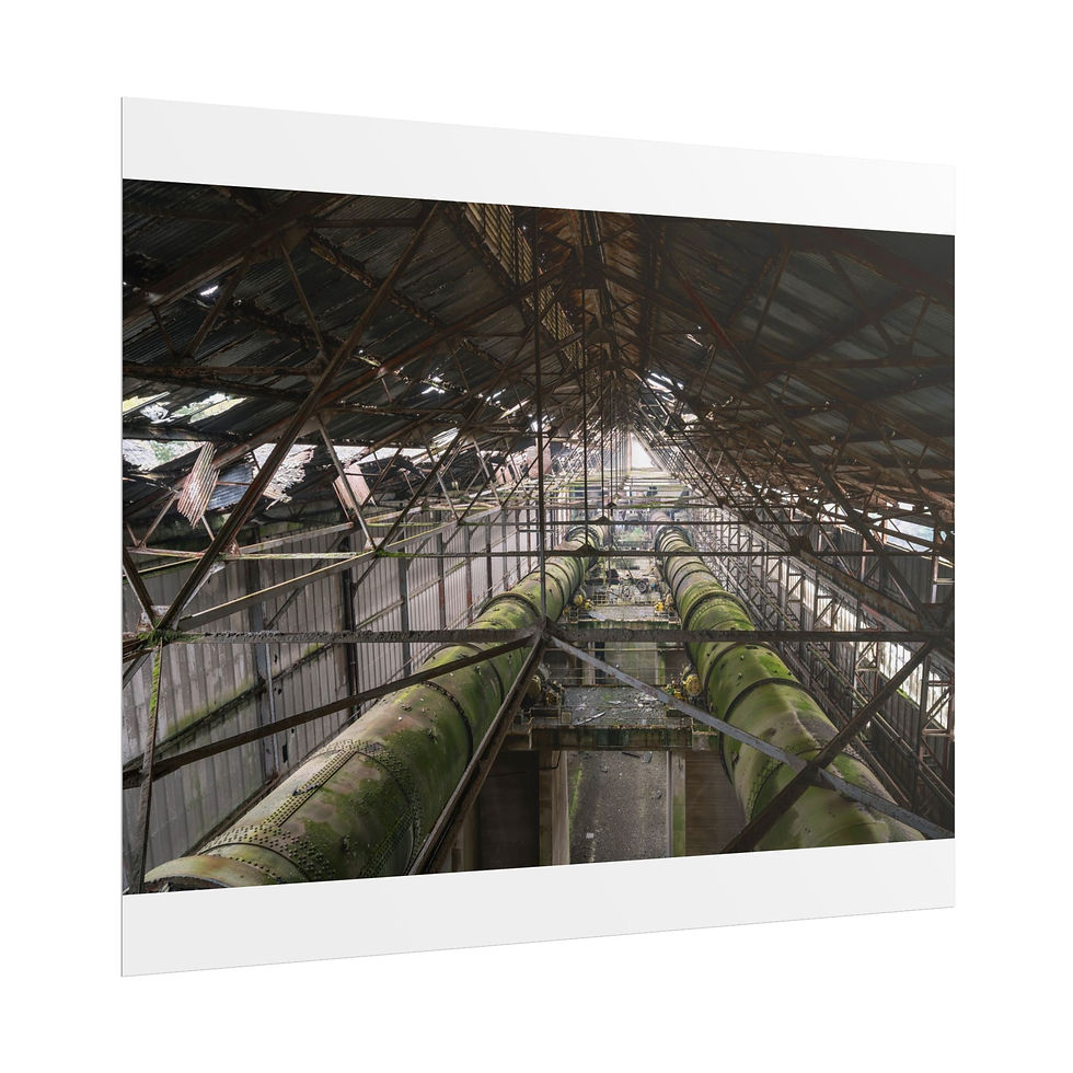 Thumbnail: Poster Print | Inside Shoreham Cement Works - Abandoned Urbex Wall Art