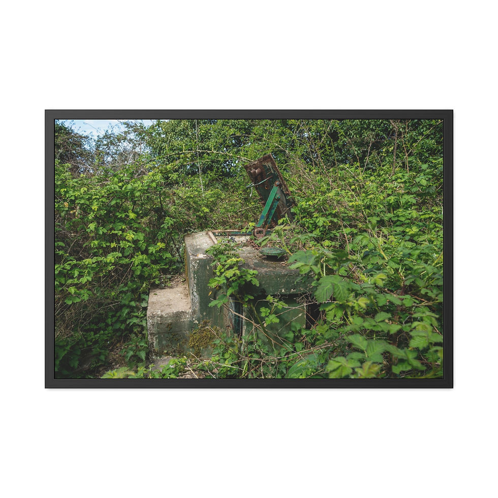 Thumbnail: Framed Print | Horsham ROC Post - Abandoned Urbex Wall Art