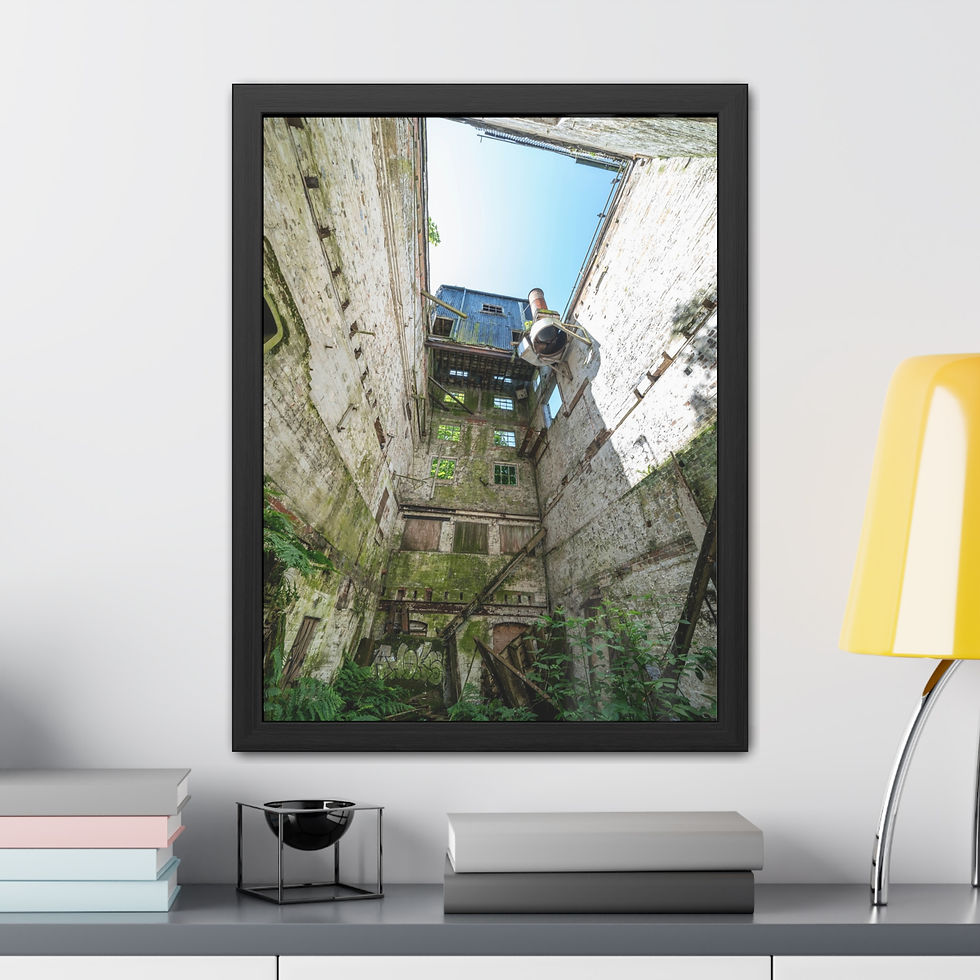 Thumbnail: Framed photo looking up inside overgrown, decaying abandoned building with blue sky.