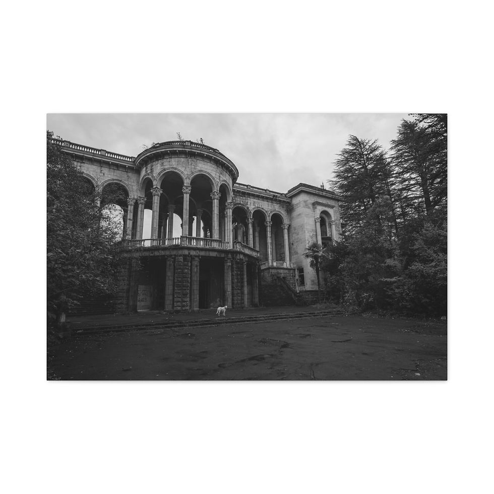 Thumbnail: Black and white abandoned grand building with arched balcony and overgrown garden.