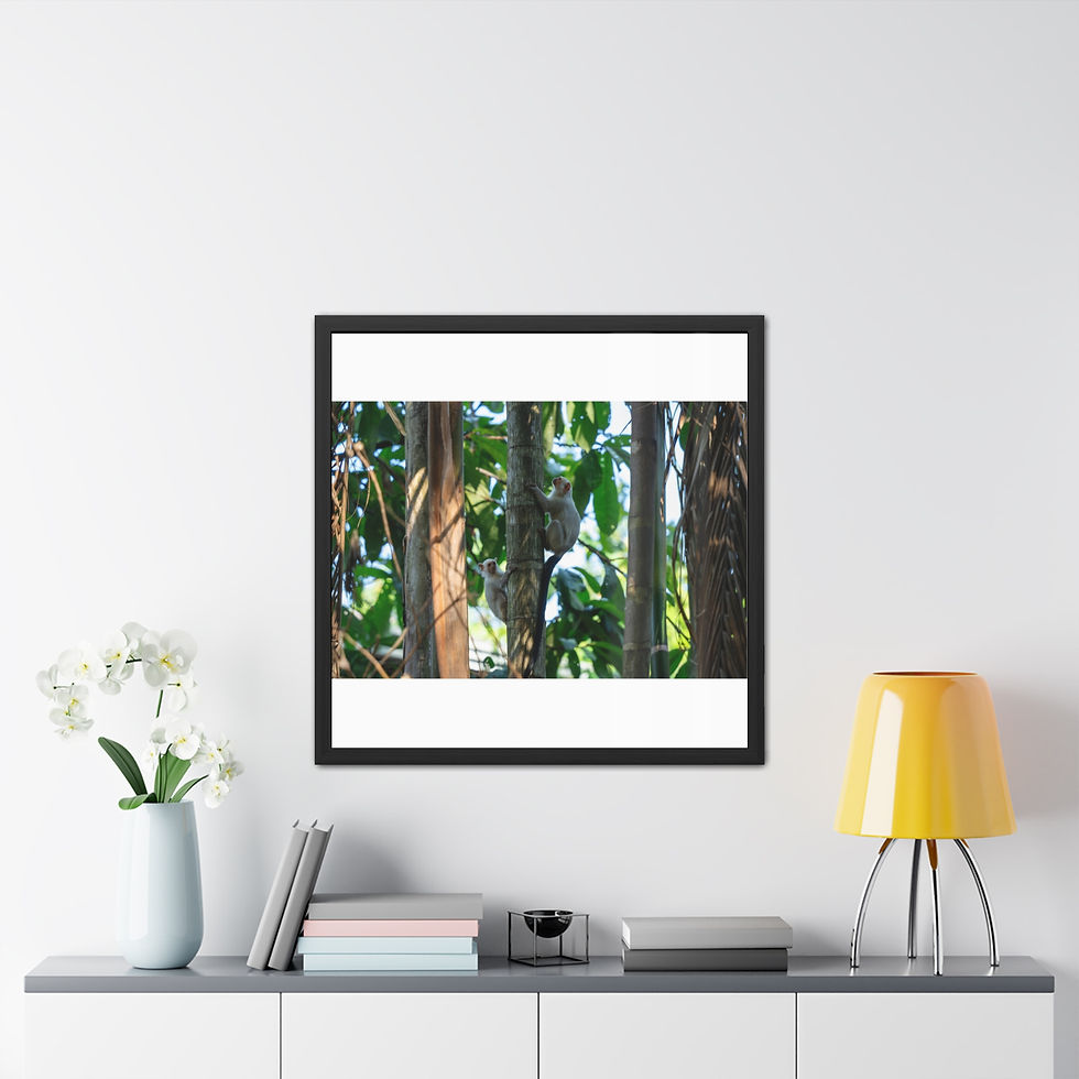 Thumbnail: Framed print displays close-up of tall tree trunks, green foliage.
