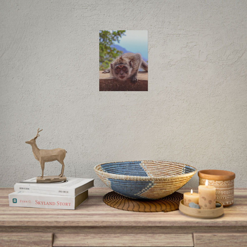 Thumbnail: Framed print showing a curious brown monkey looking directly forward.