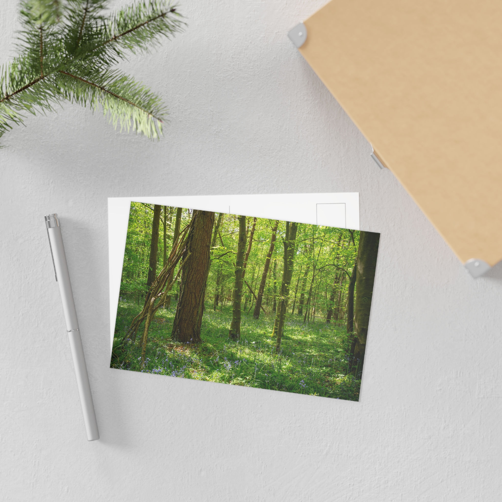 Bluebell Postcard | Laughton Woods Forest Scene | East Sussex Nature Photo