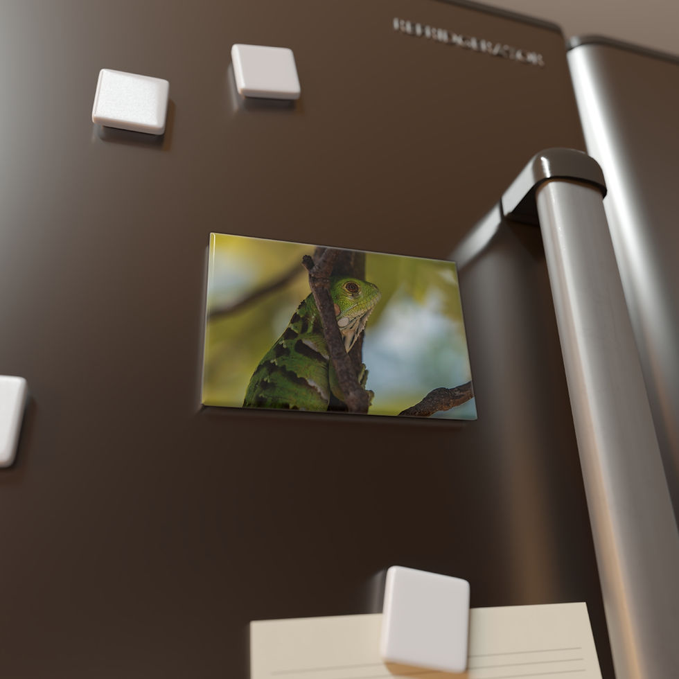 Thumbnail: Refrigerator magnet showing a green lizard camouflaged among leaves.
