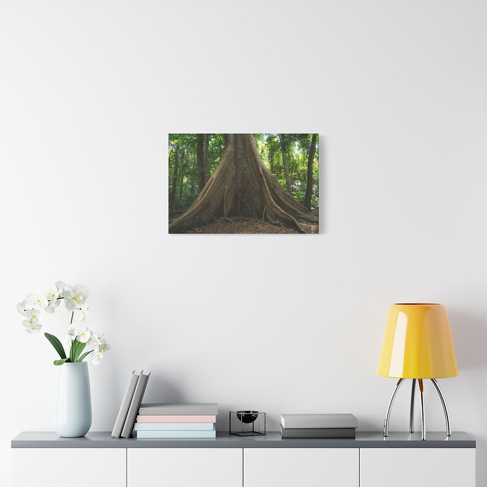 Thumbnail: Large tree with buttress roots on canvas, deep green forest background.