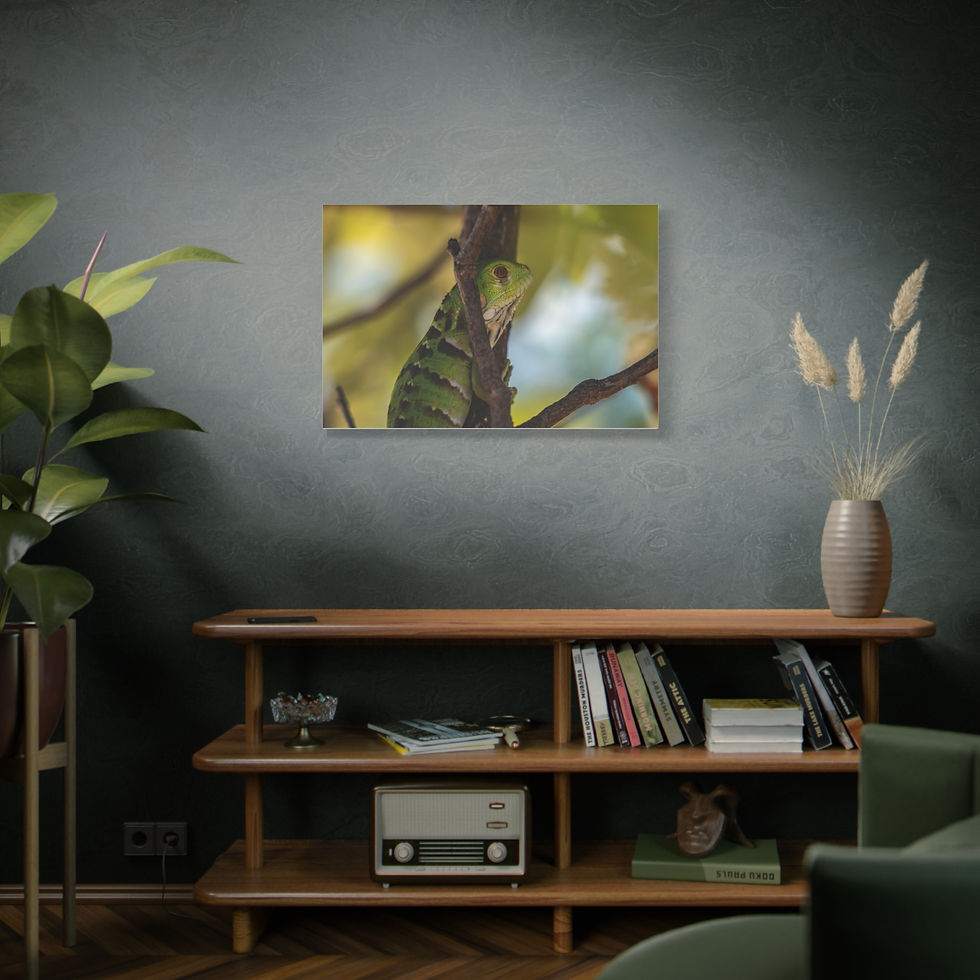Thumbnail: Sloth in a tree canvas print displayed above a wooden console.