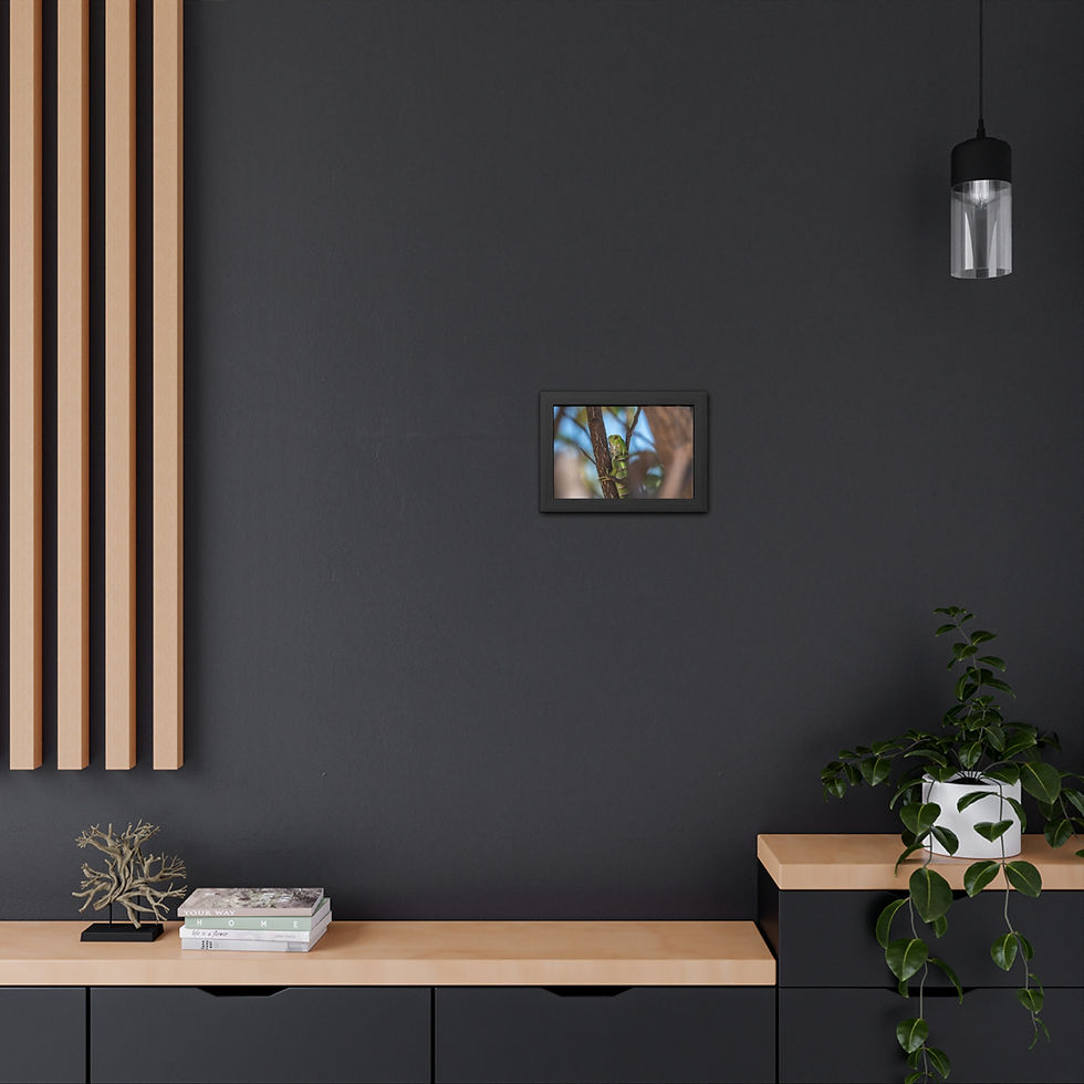 Thumbnail: Small framed picture on dark wall in modern room with wooden accents.