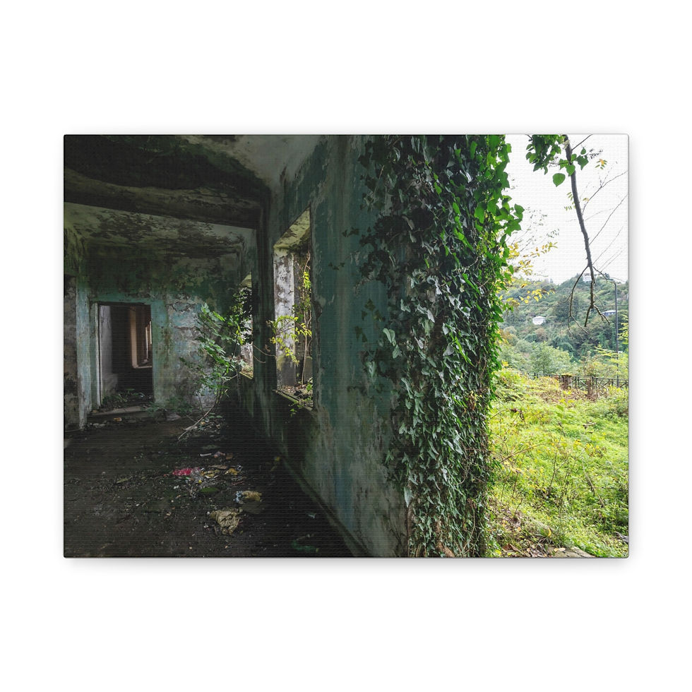 Thumbnail: Nature reclaiming abandoned building, green ivy covering interior walls and windows.